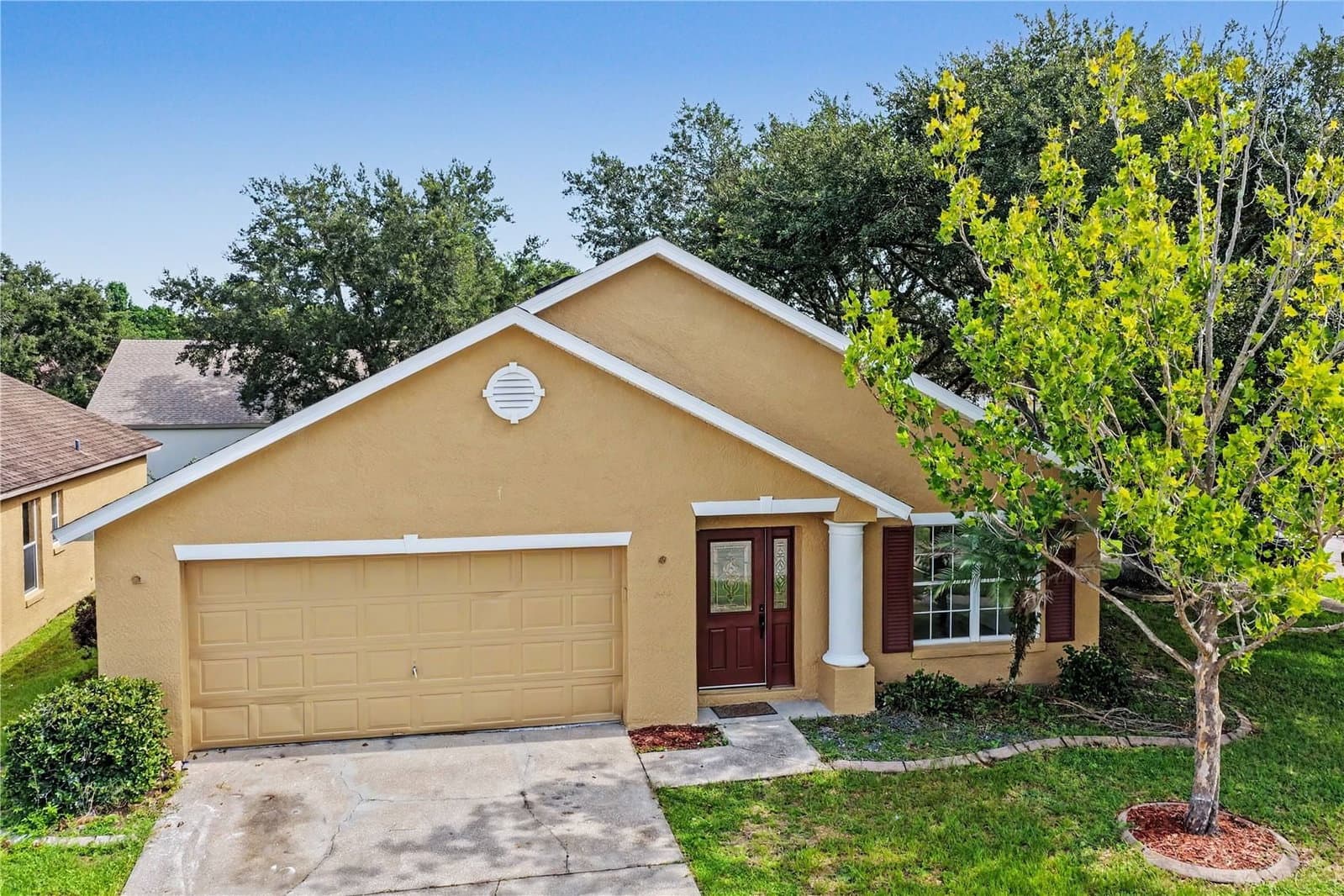 544 CYPRESS TREE