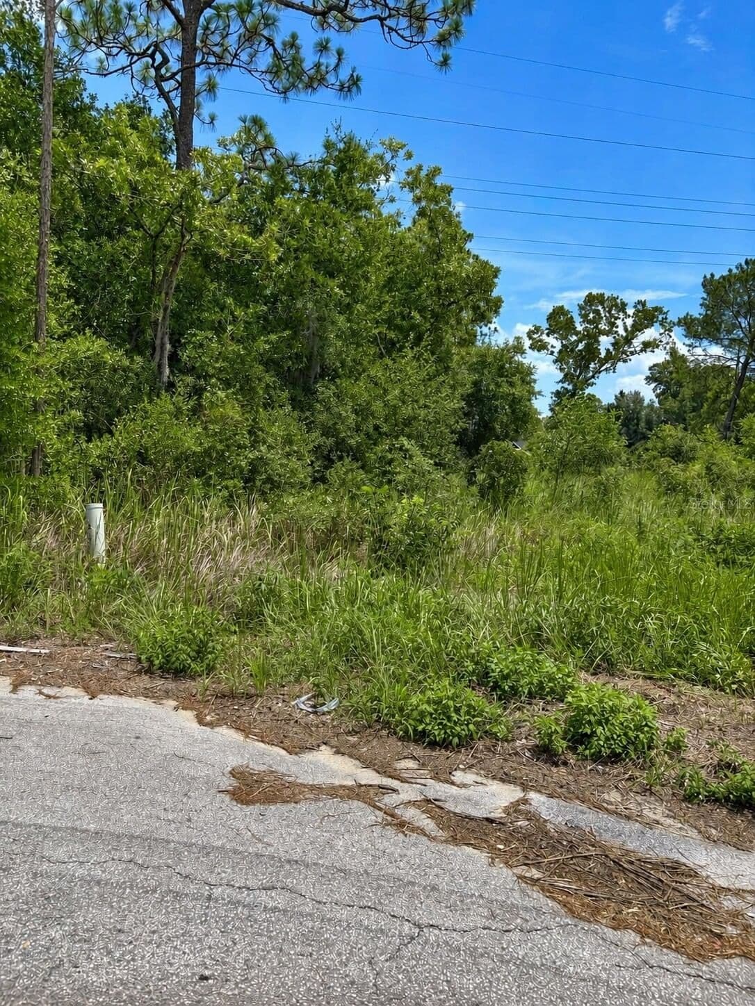 WATER TRACK LOT 08, Ocala, FL