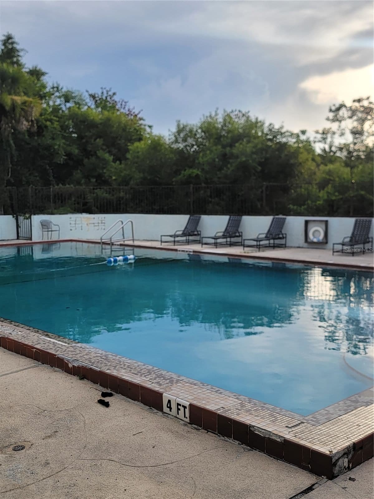 2430 LEMON TREE