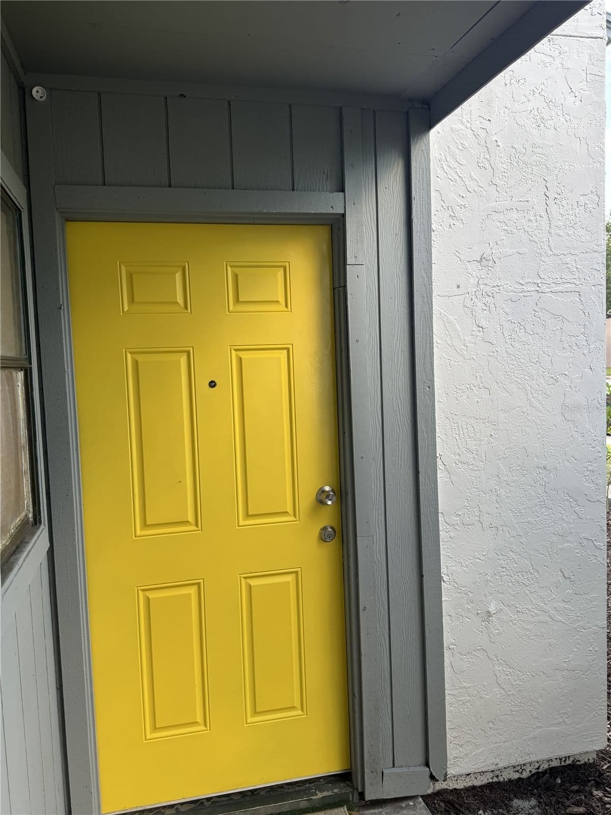 2430 LEMON TREE
