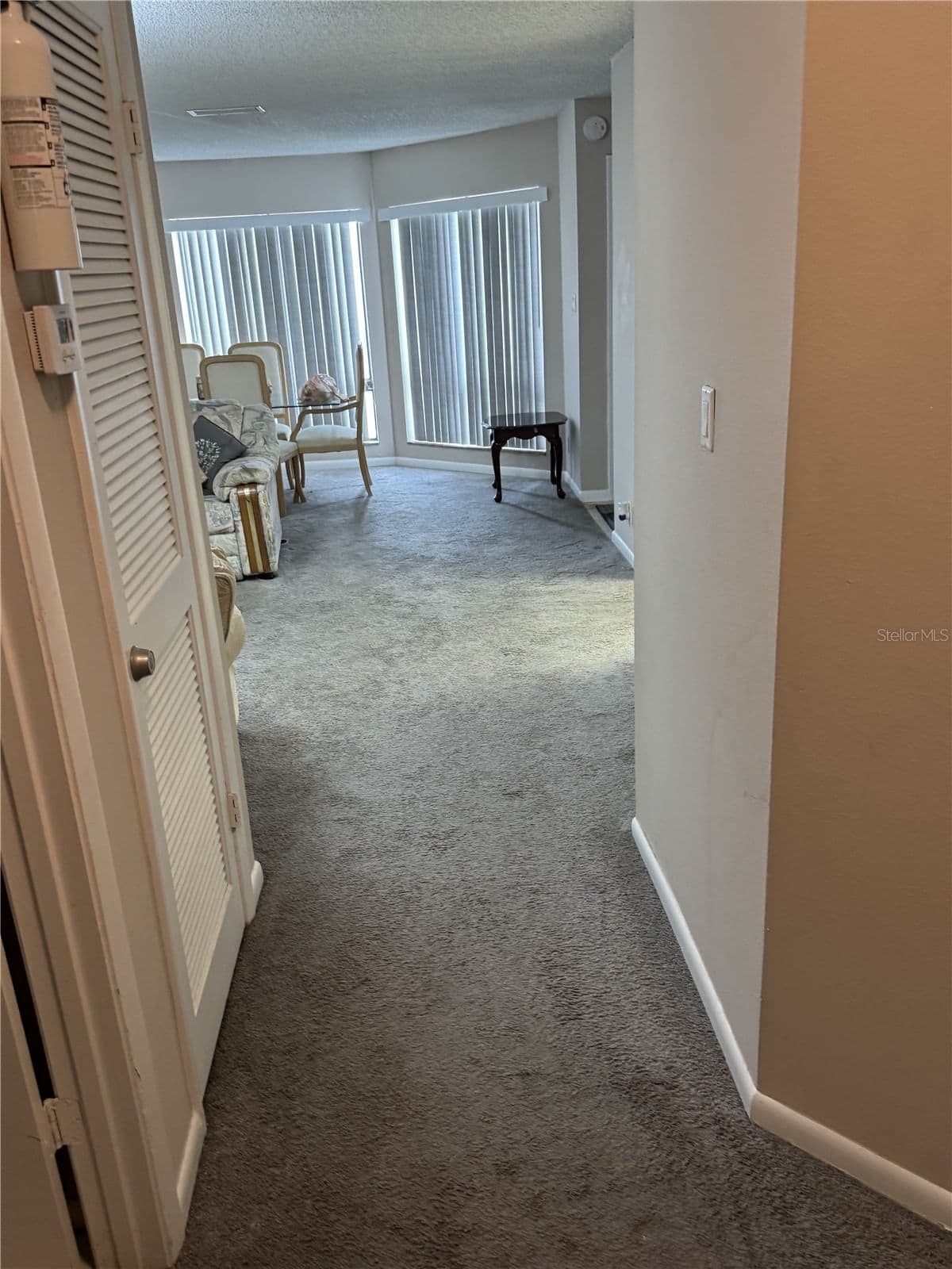 2430 LEMON TREE