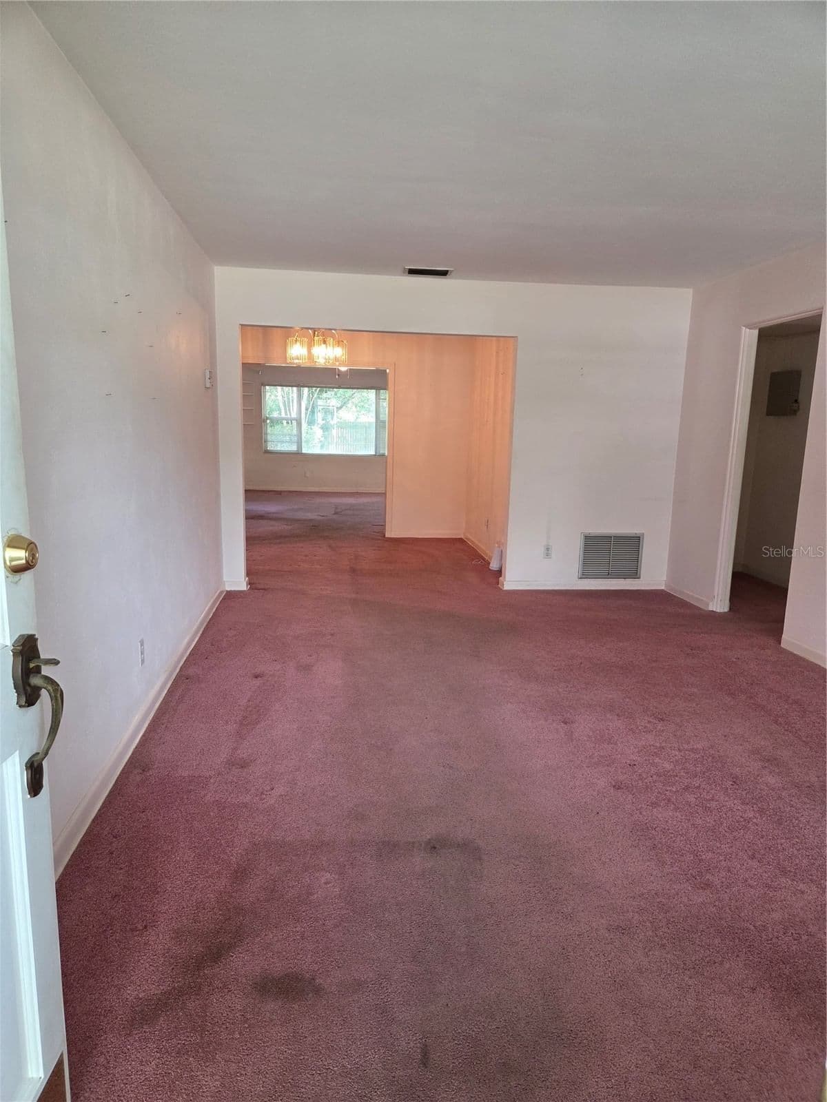2917 VINE