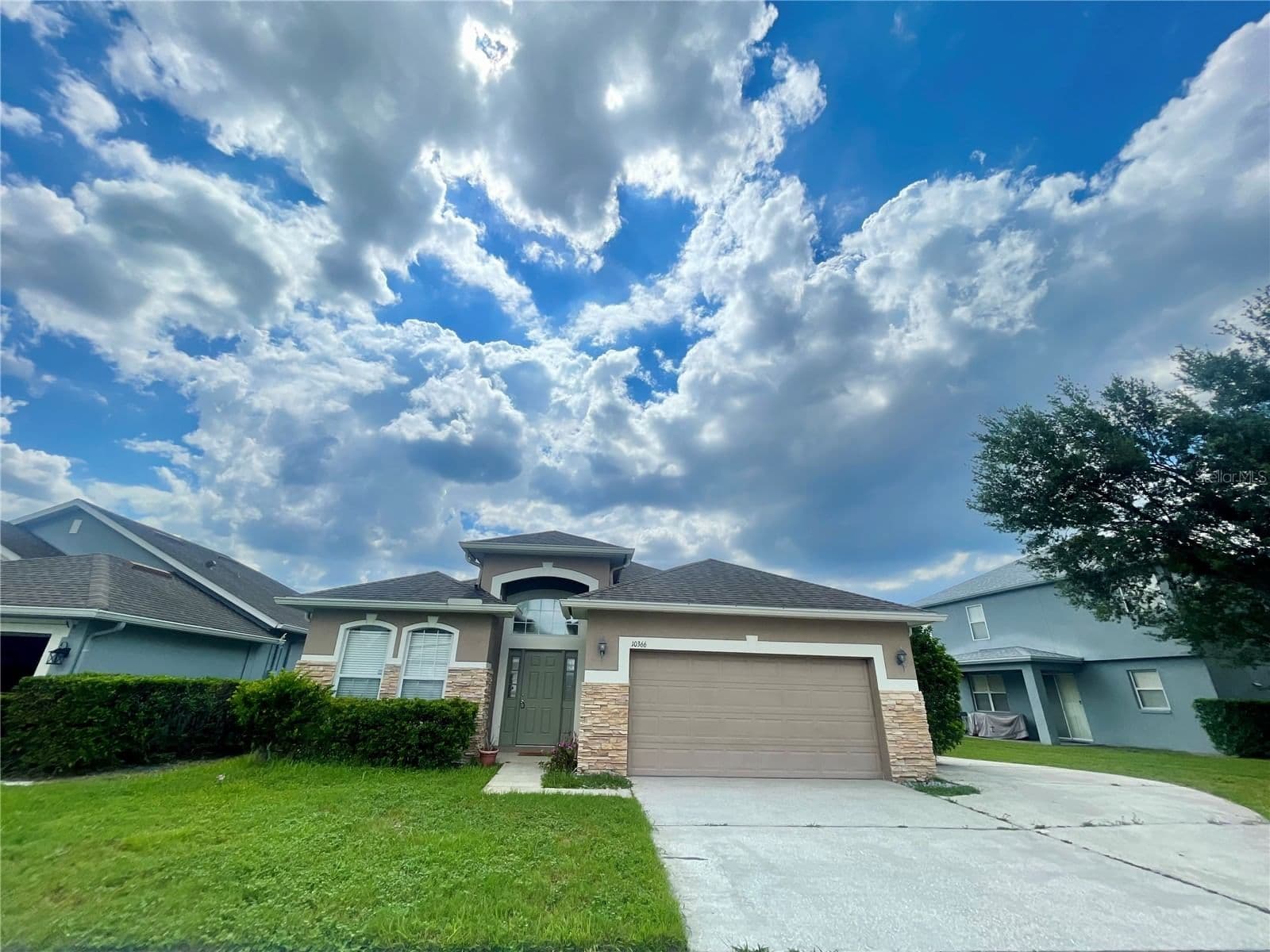 10366 CYPRESS KNEE