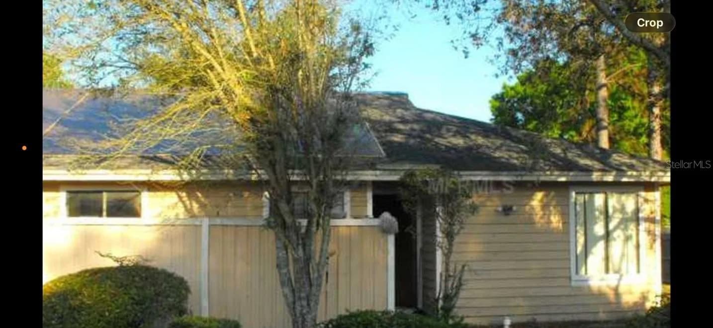 2803 WAXY WILLOW
