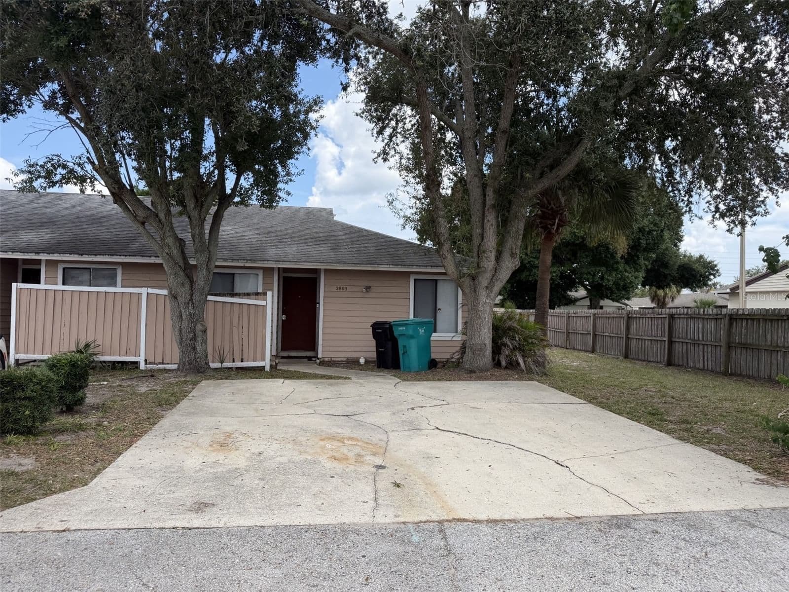 2803 WAXY WILLOW