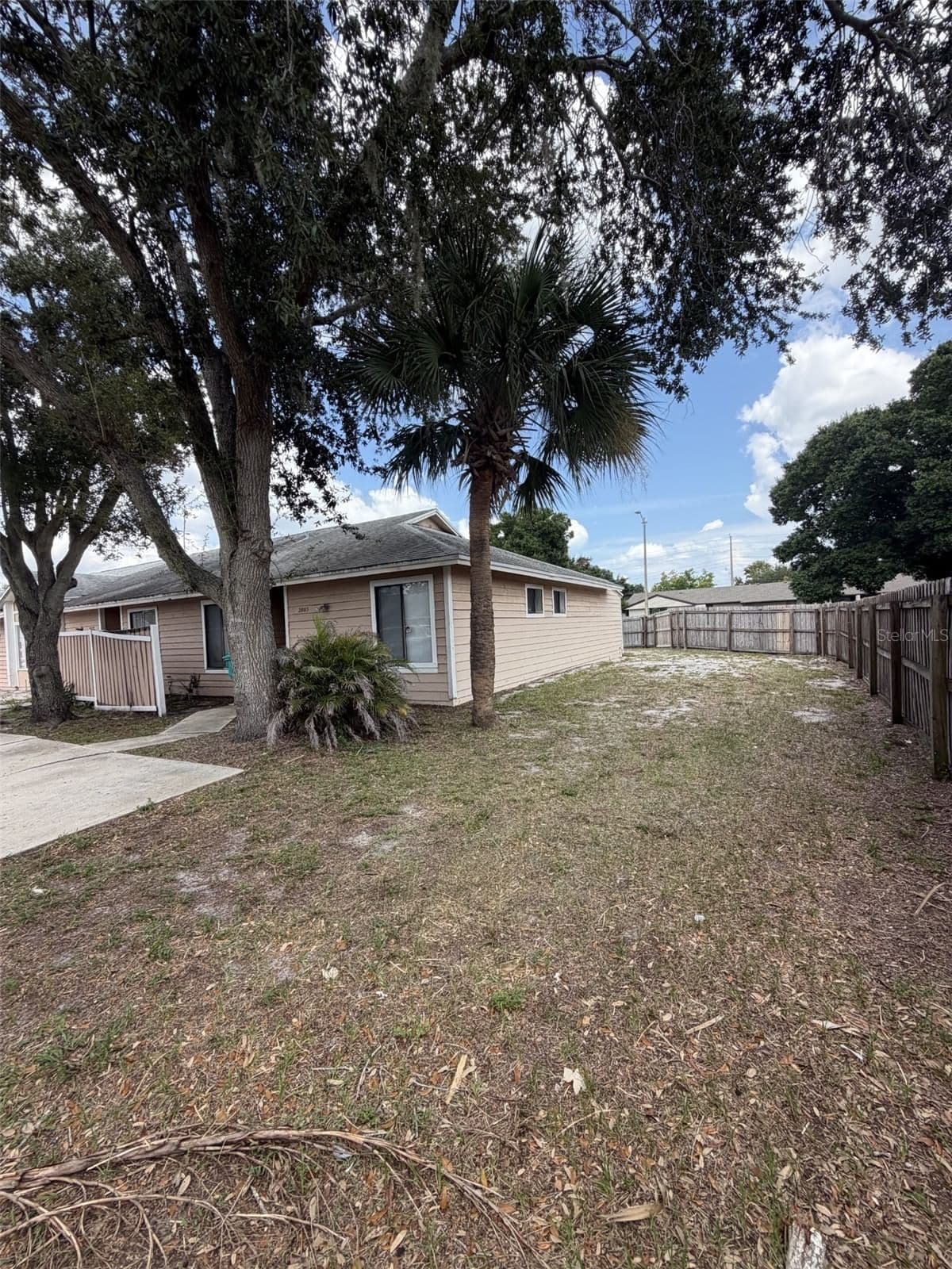 2803 WAXY WILLOW