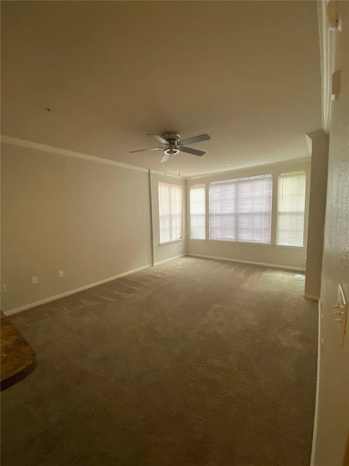 911 ORANGE Avenue #235