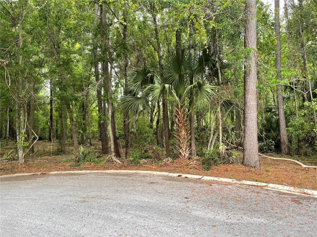 43RD