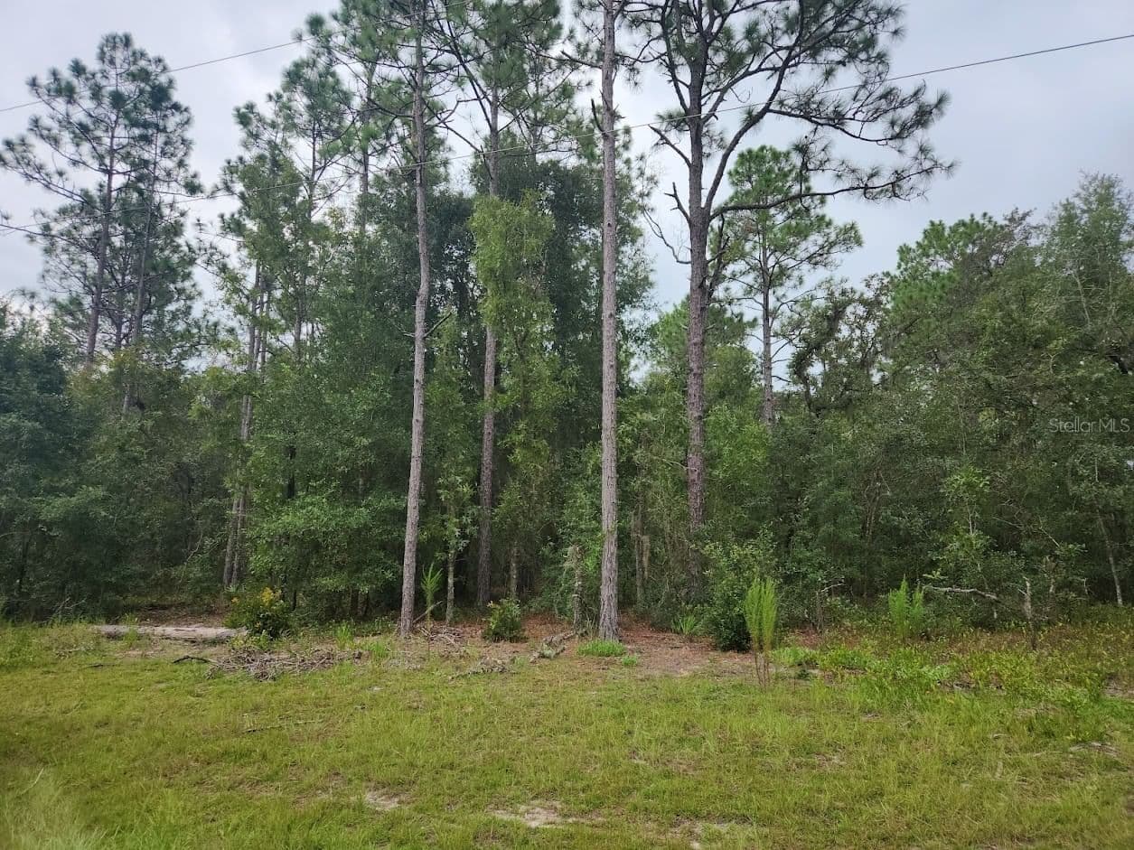 lot 24 89TH