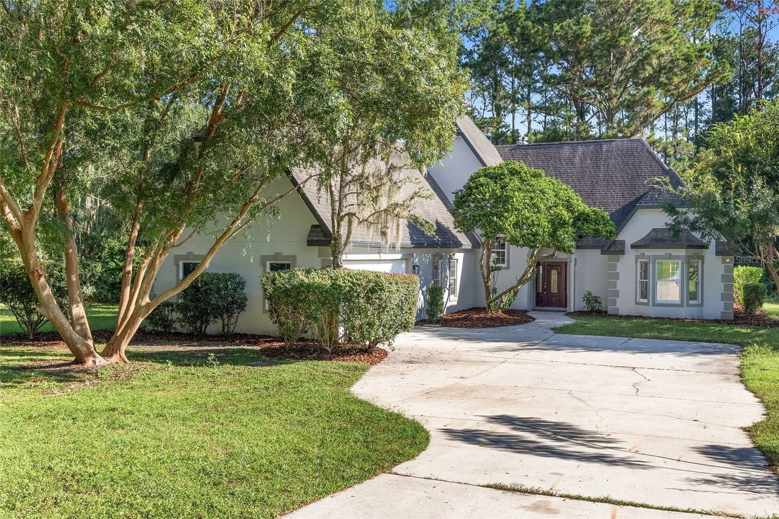 6581 MAGNOLIA