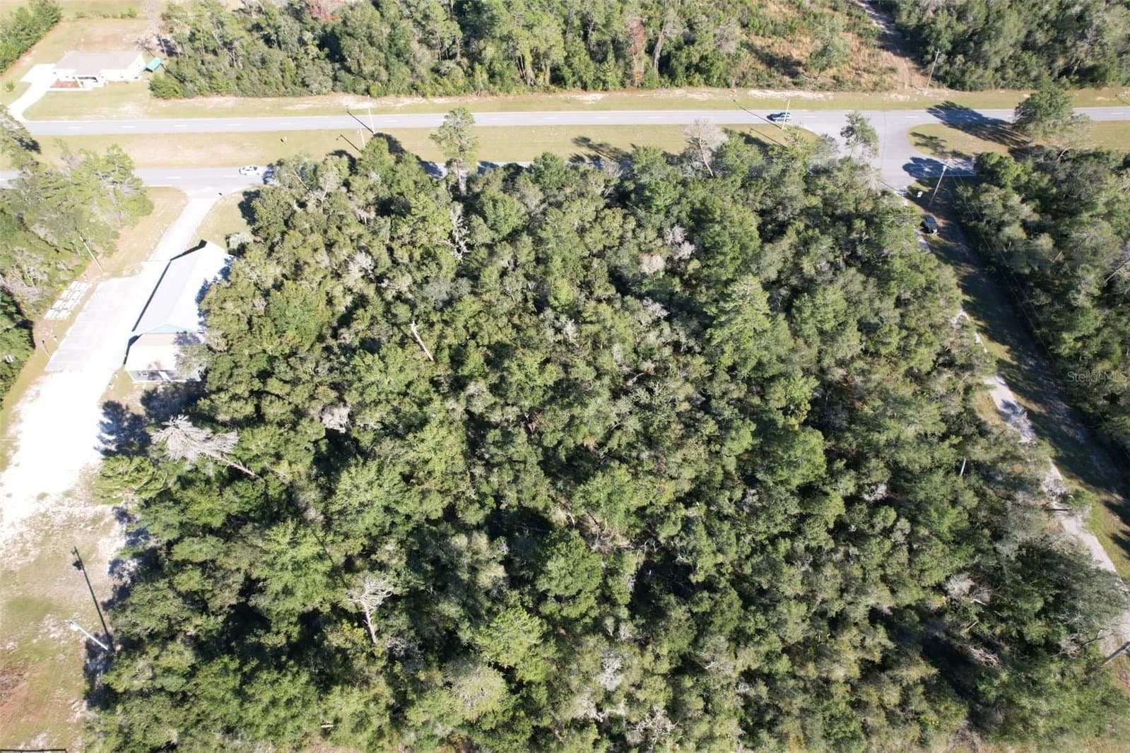 MARION OAKS
