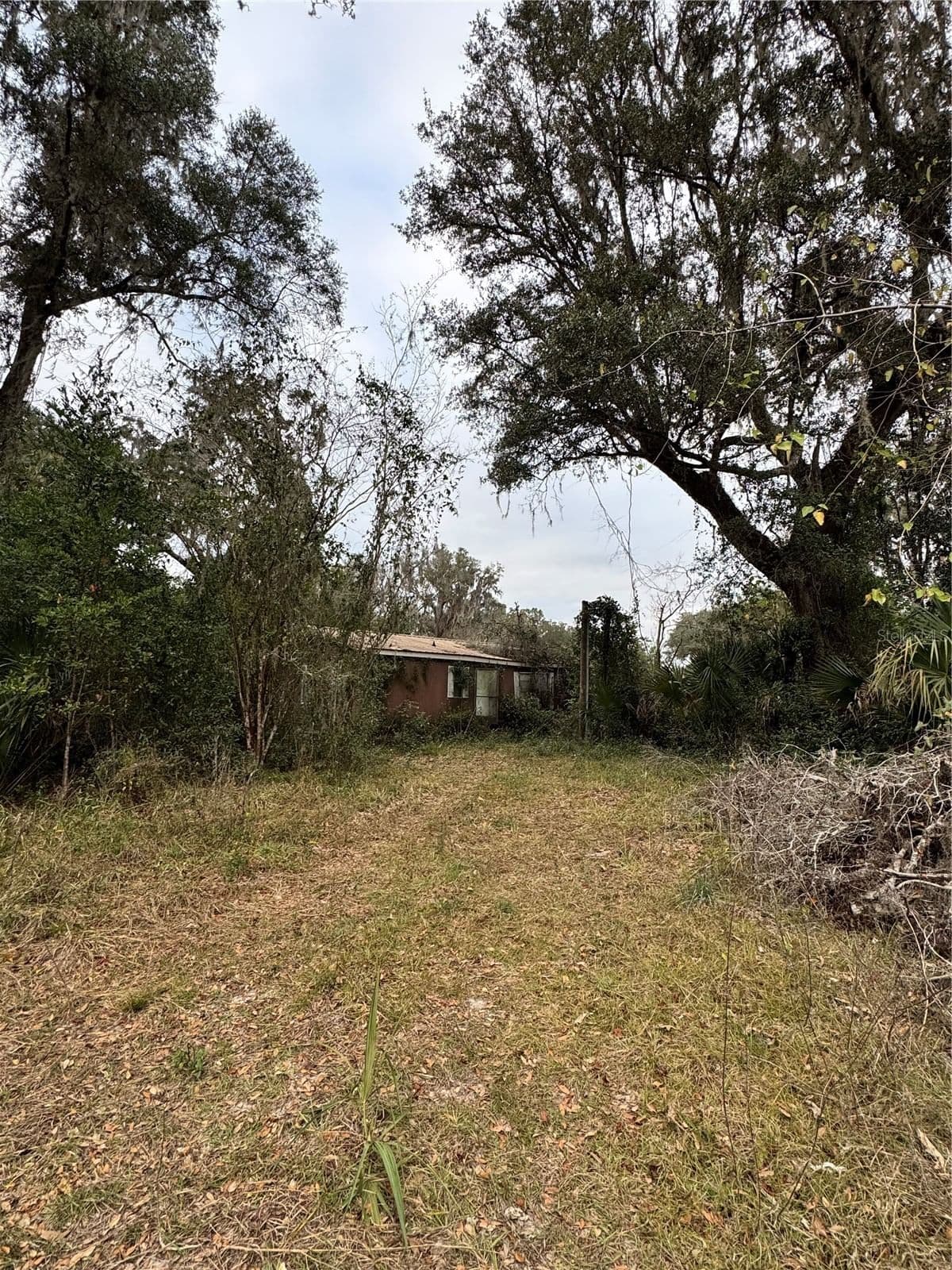 291 81ST