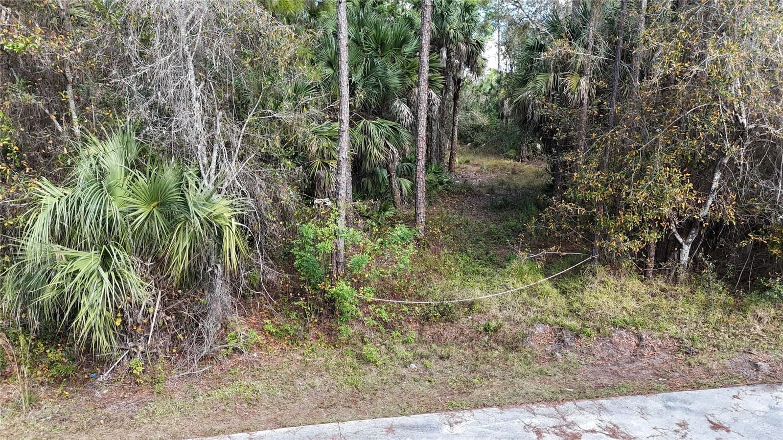 16TH AVE SE, Naples, FL