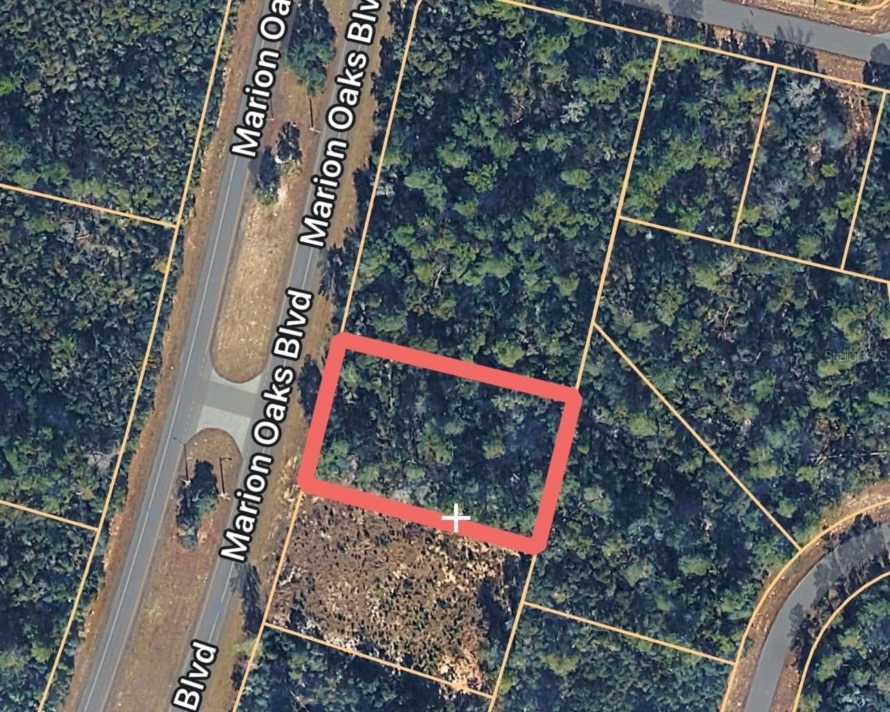 0000 MARION OAKS