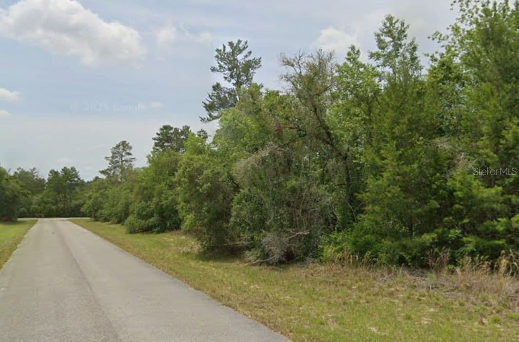Lot 19 31ST