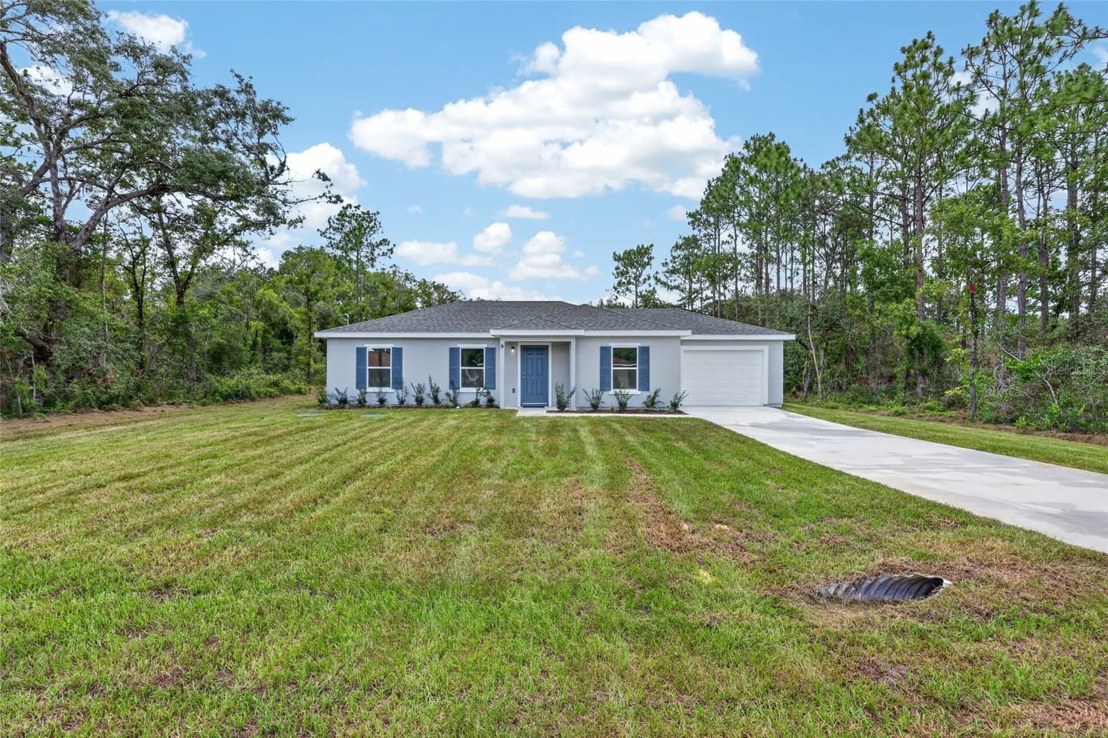 6 FIR DRIVE