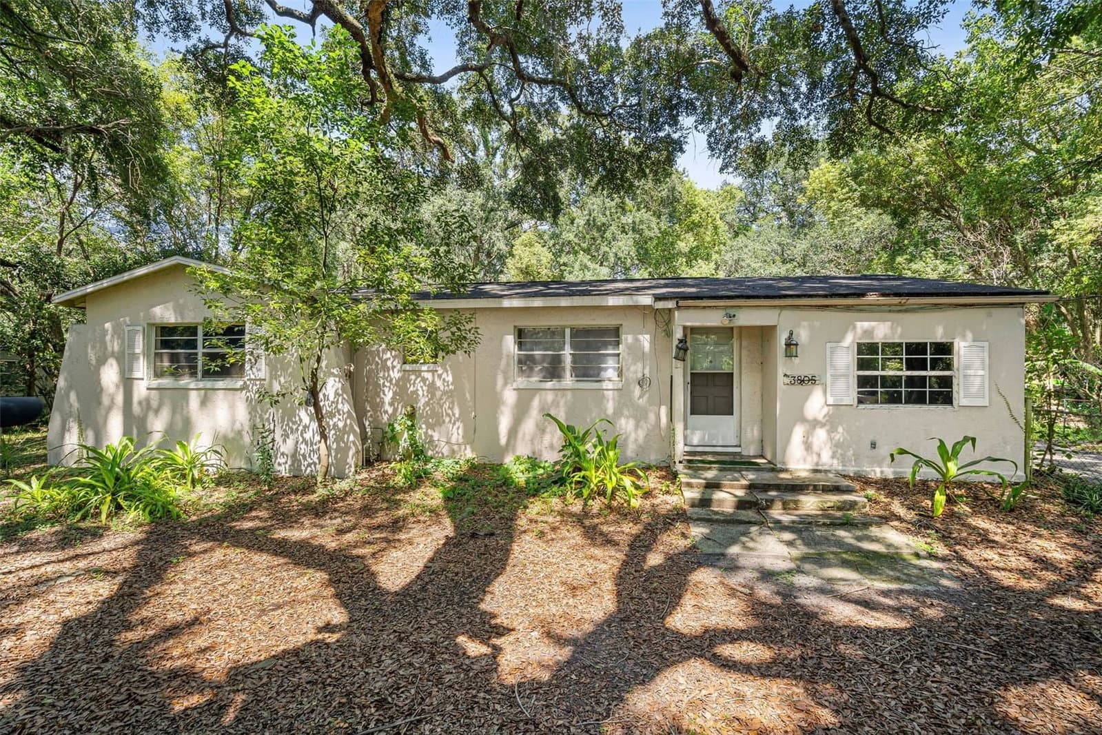 3805 TAMPA