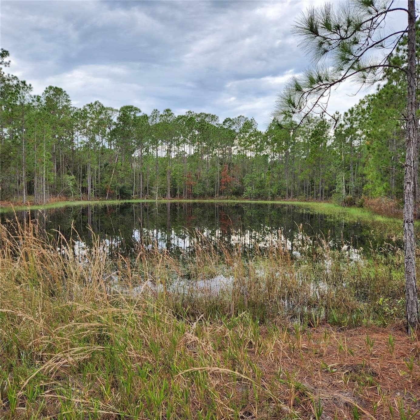 LOT 2 SOUTH SHORE