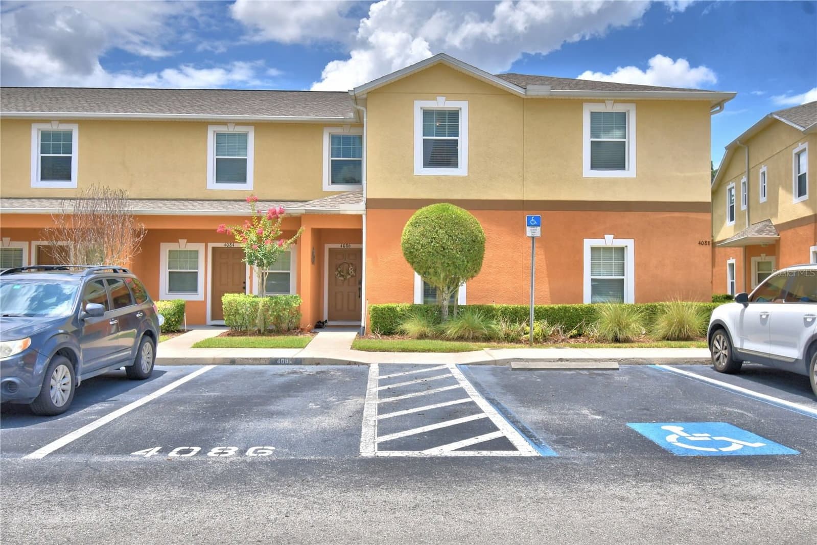 4086 WINDING VINE