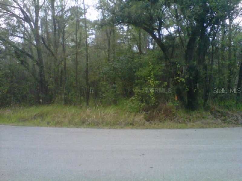 STATE PARK RD