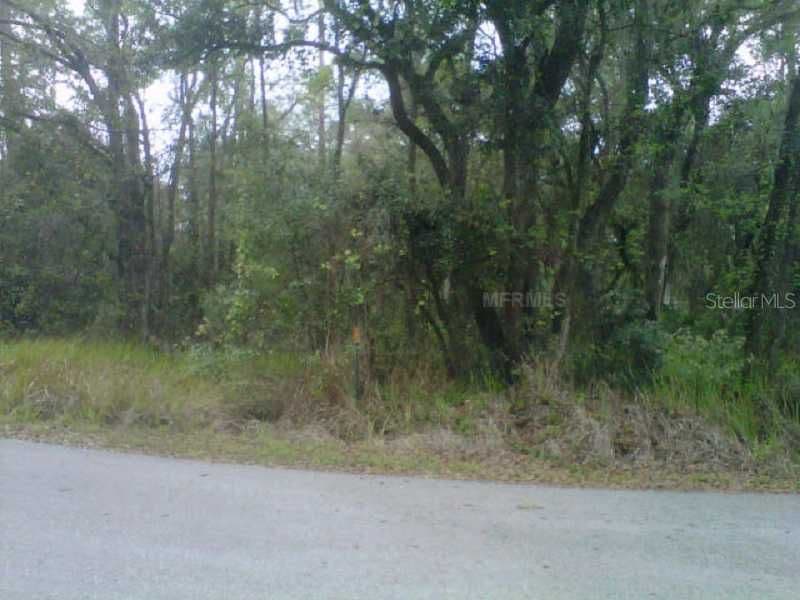 STATE PARK RD