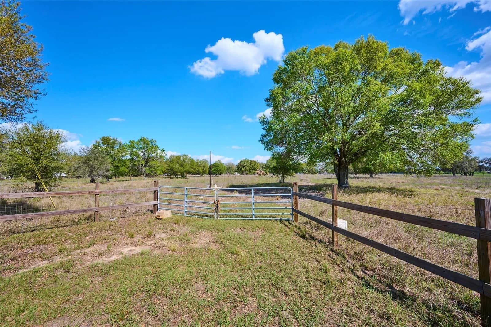 386 CAPPS Road