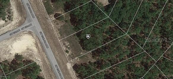 Lot 21 135