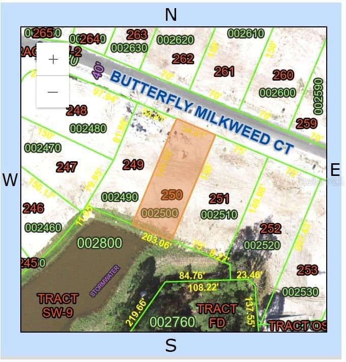1414 BUTTERFLY MILKWEED
