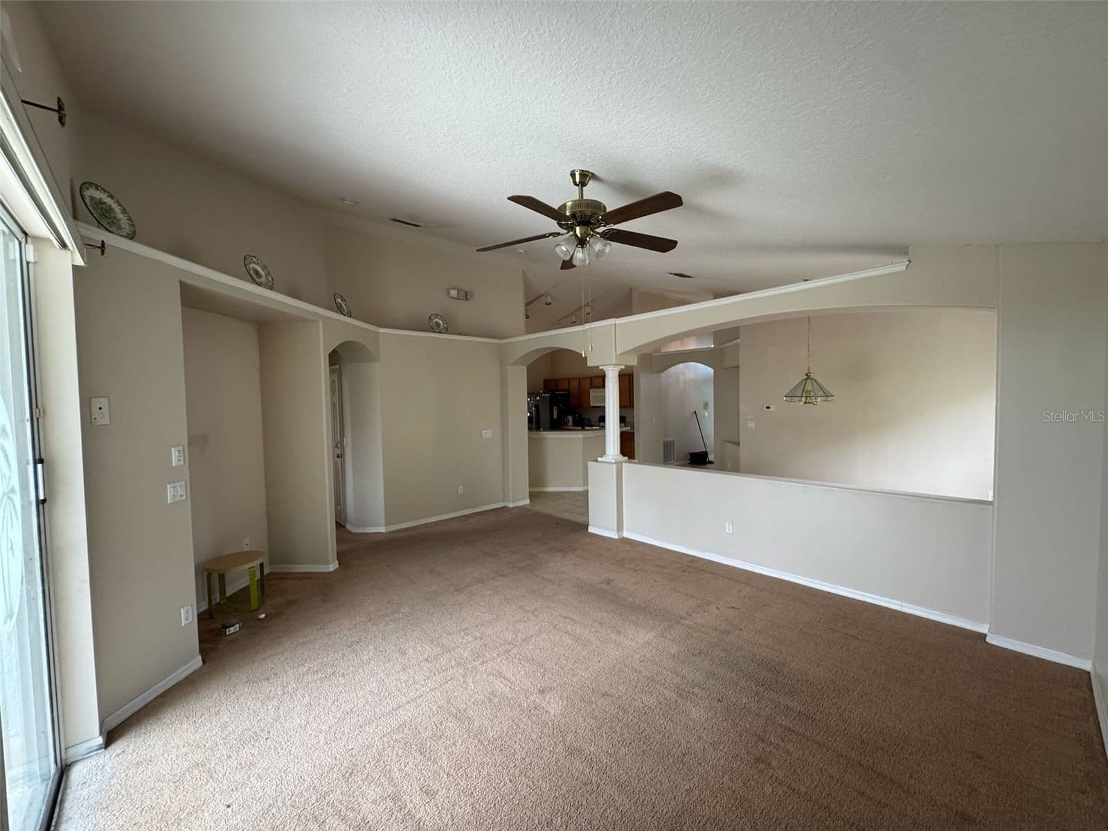 856 CASSIA