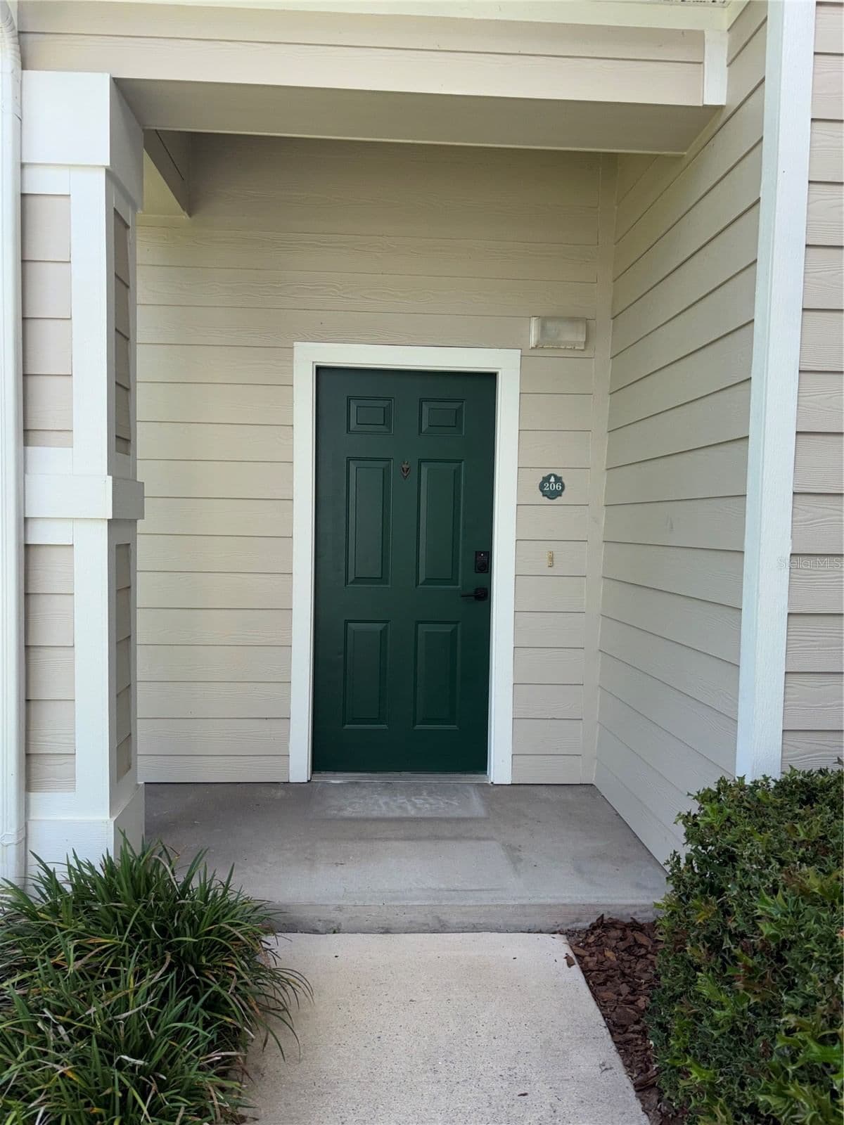 143 SOUTHERN PECAN