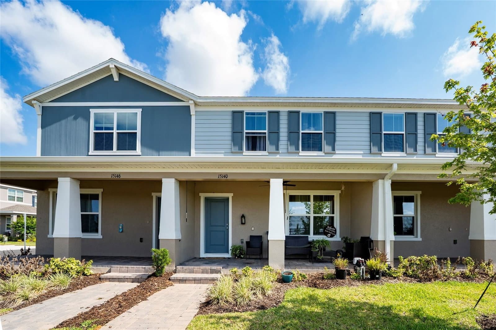 15140 WINDFLOWER