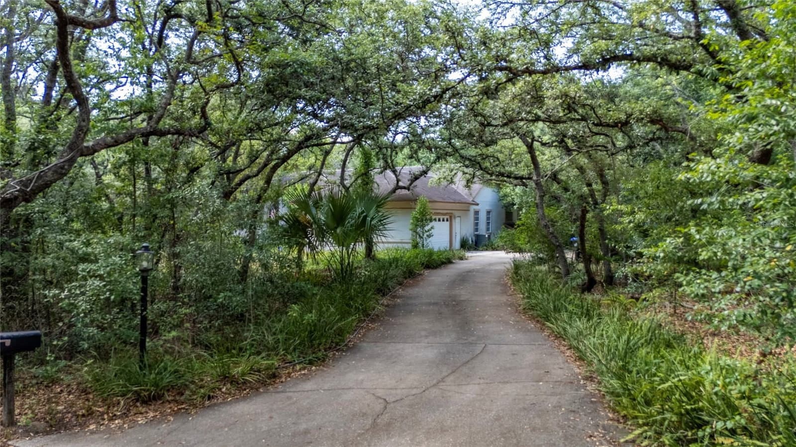 6781 LIVINGSTON
