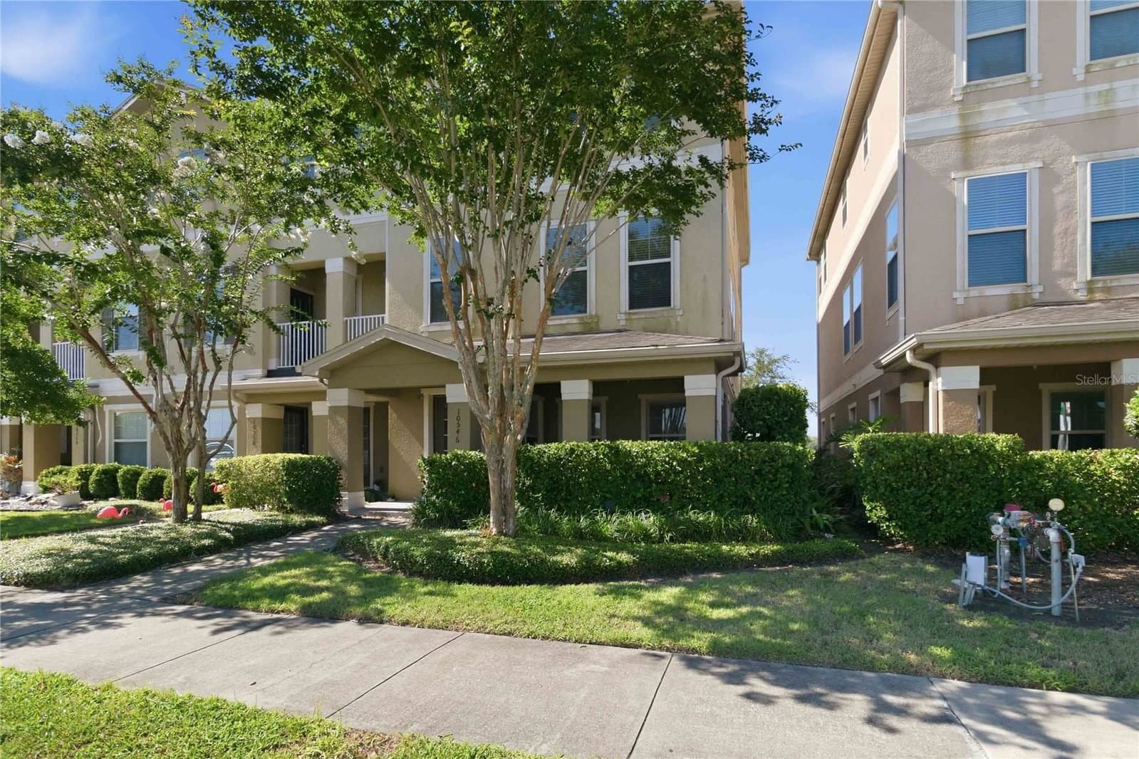 10546 GREEN IVY