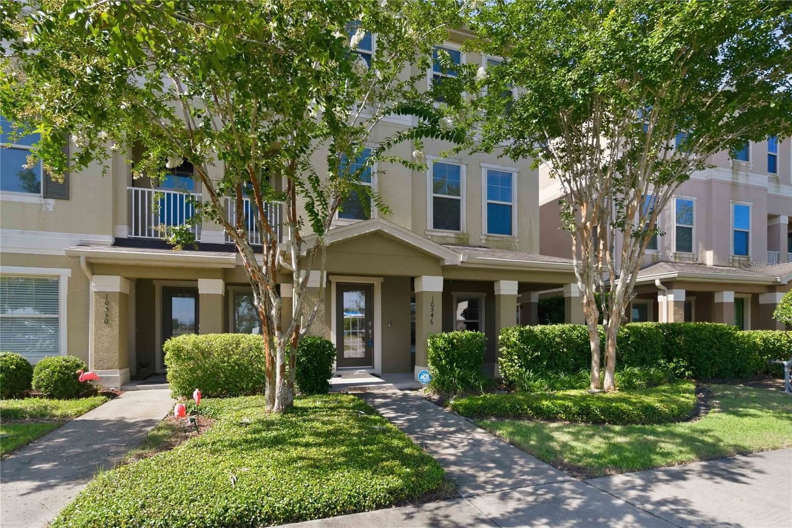 10546 GREEN IVY