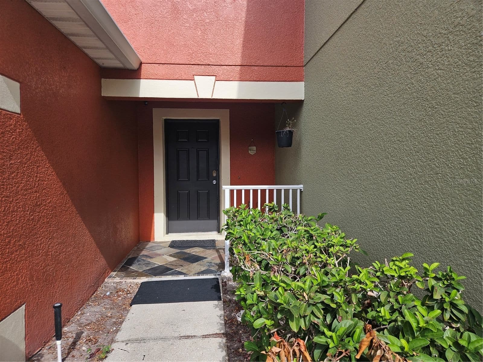 752 CRESTING OAK