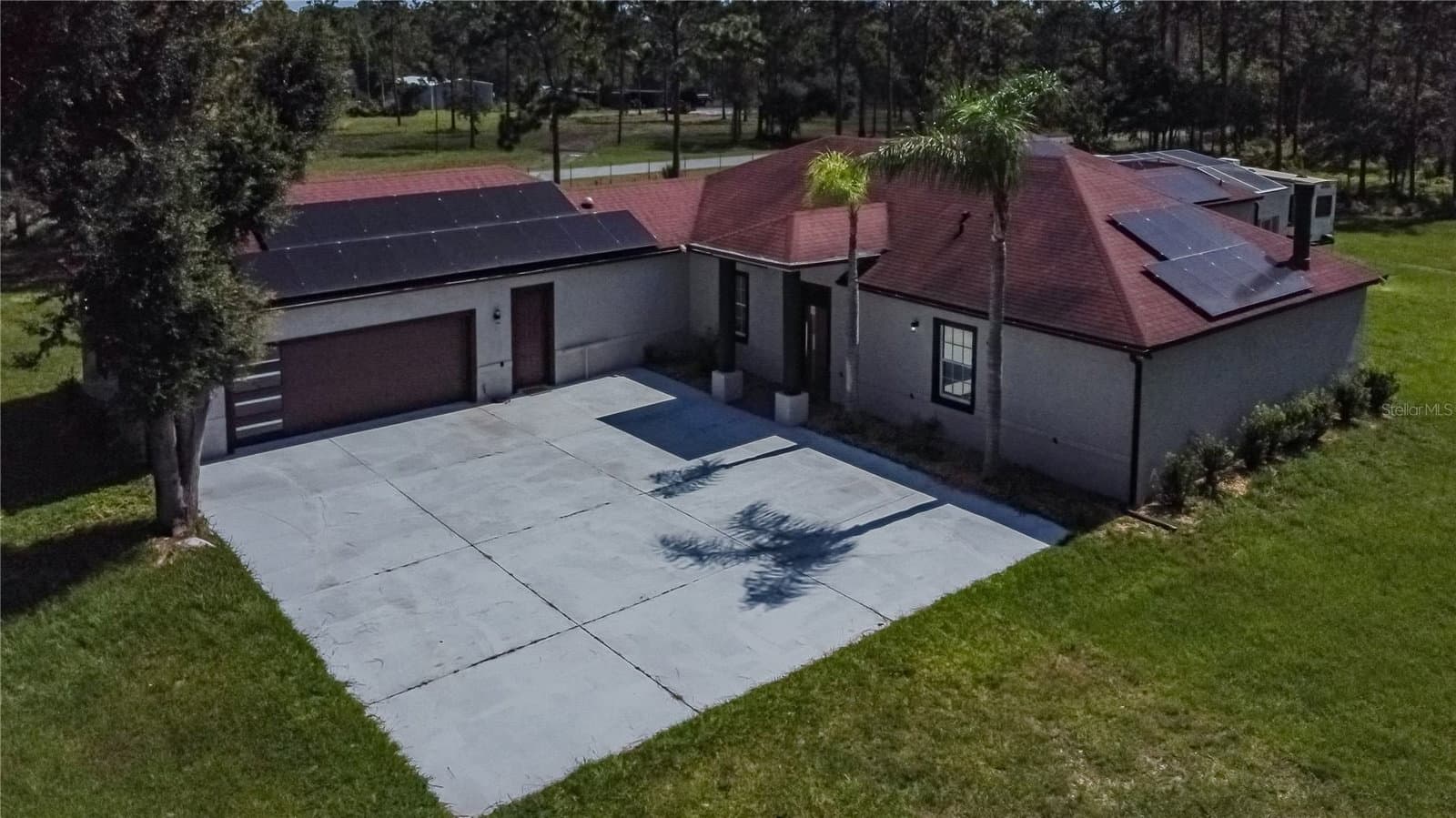 13305 LACEBARK PINE