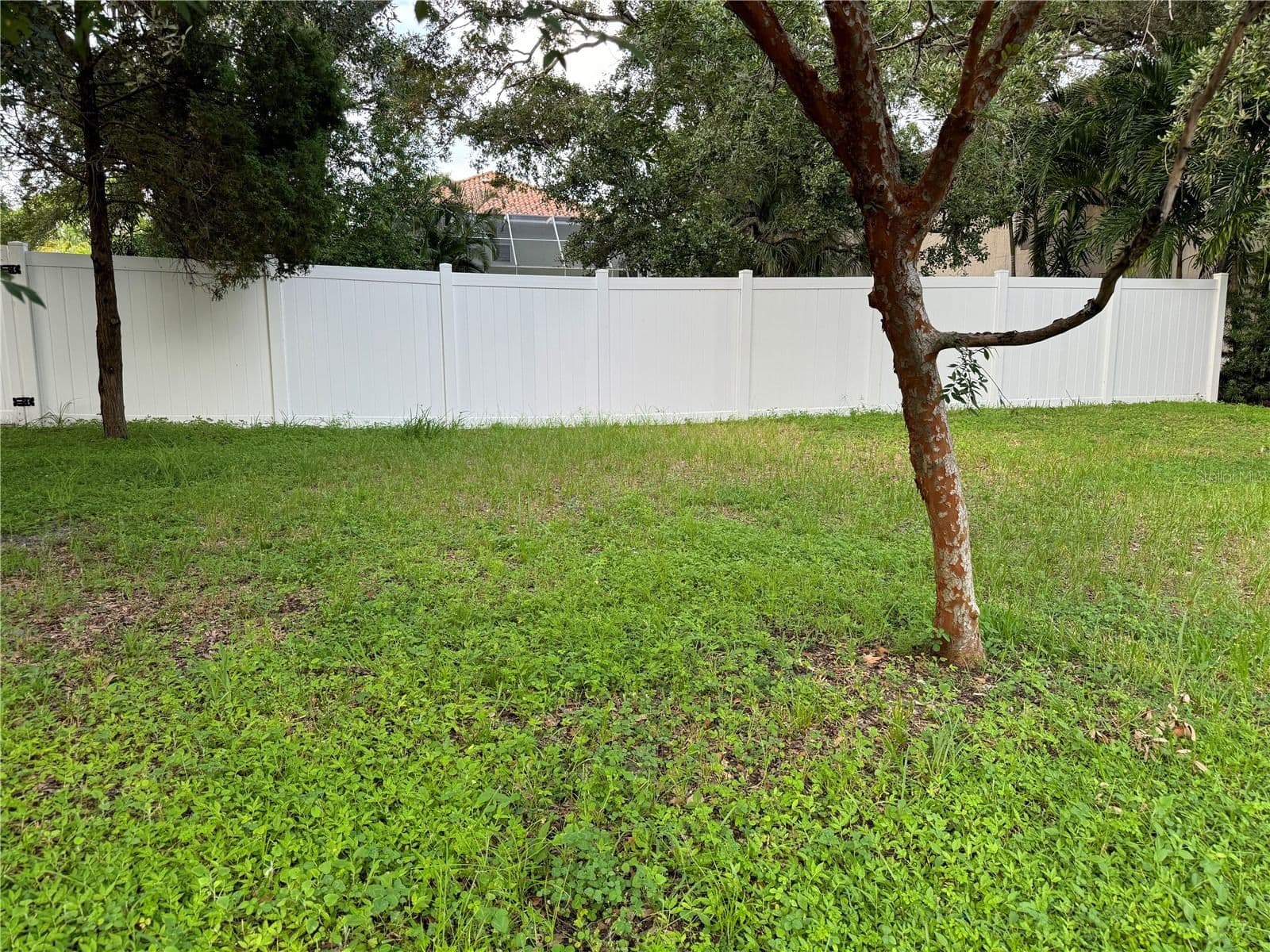 3115 SAN PEDRO
