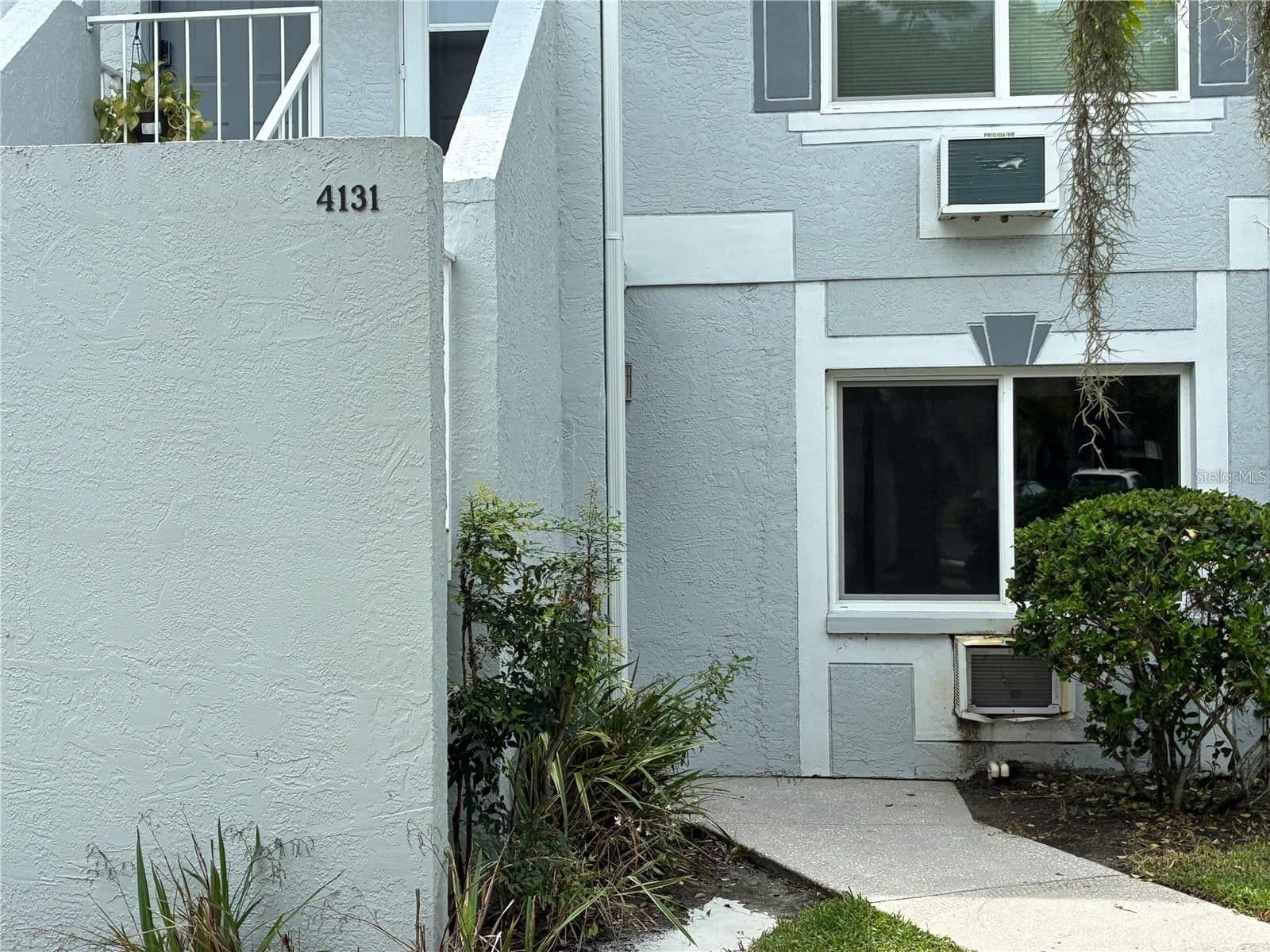 4131 DOLPHIN