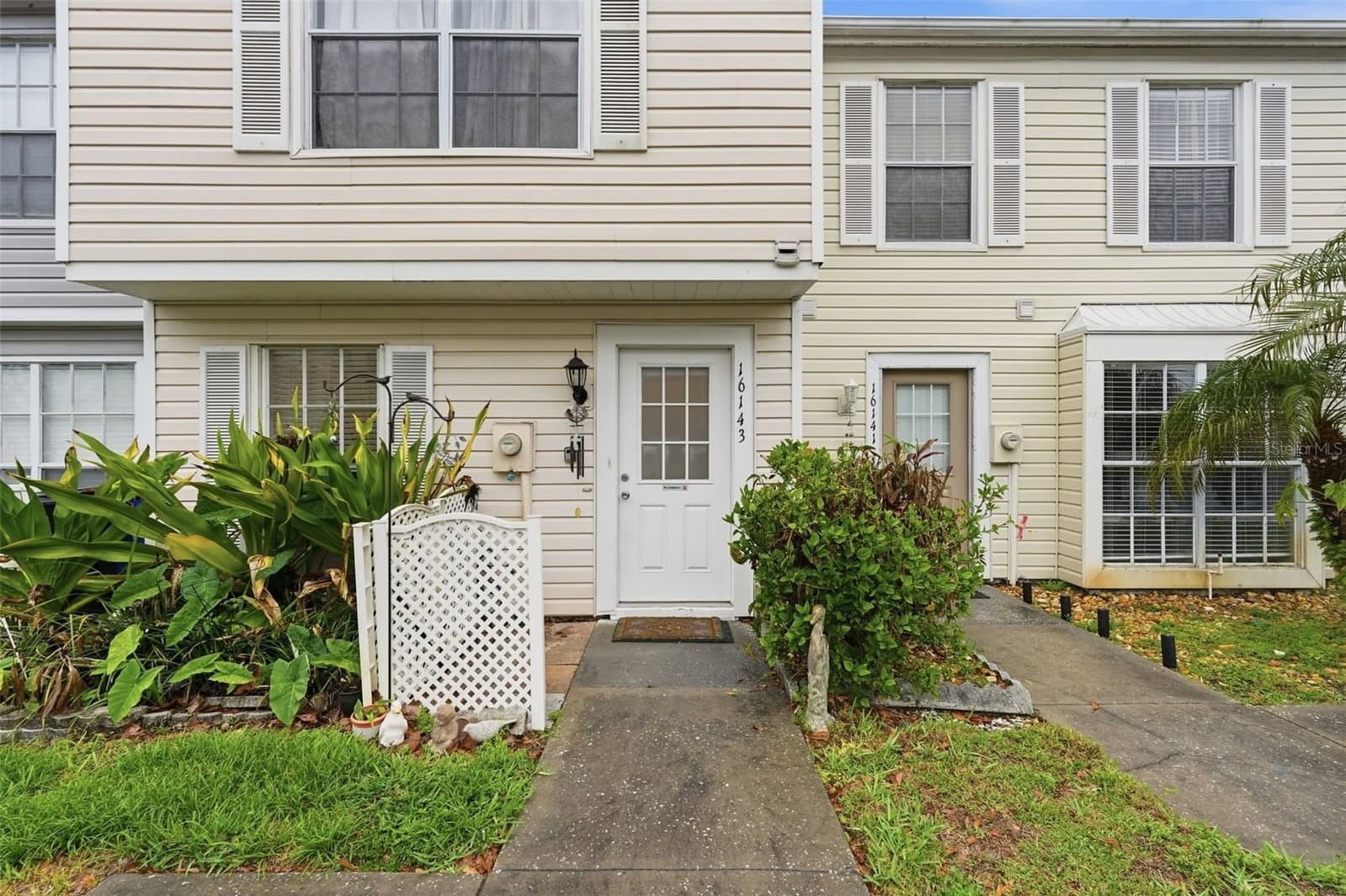 16143 RAMBLING VINE