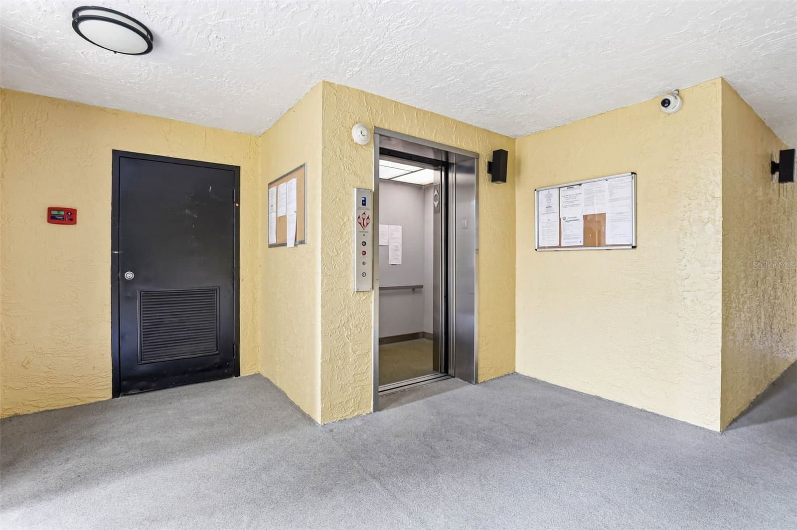 2424 TAMPA BAY