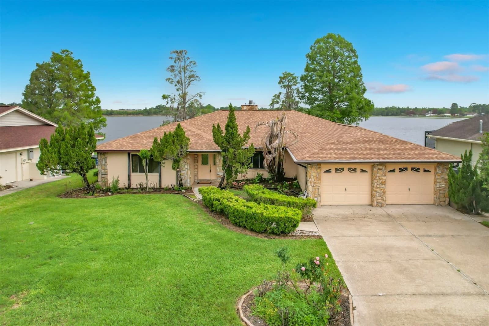 247 LAKE PANSY