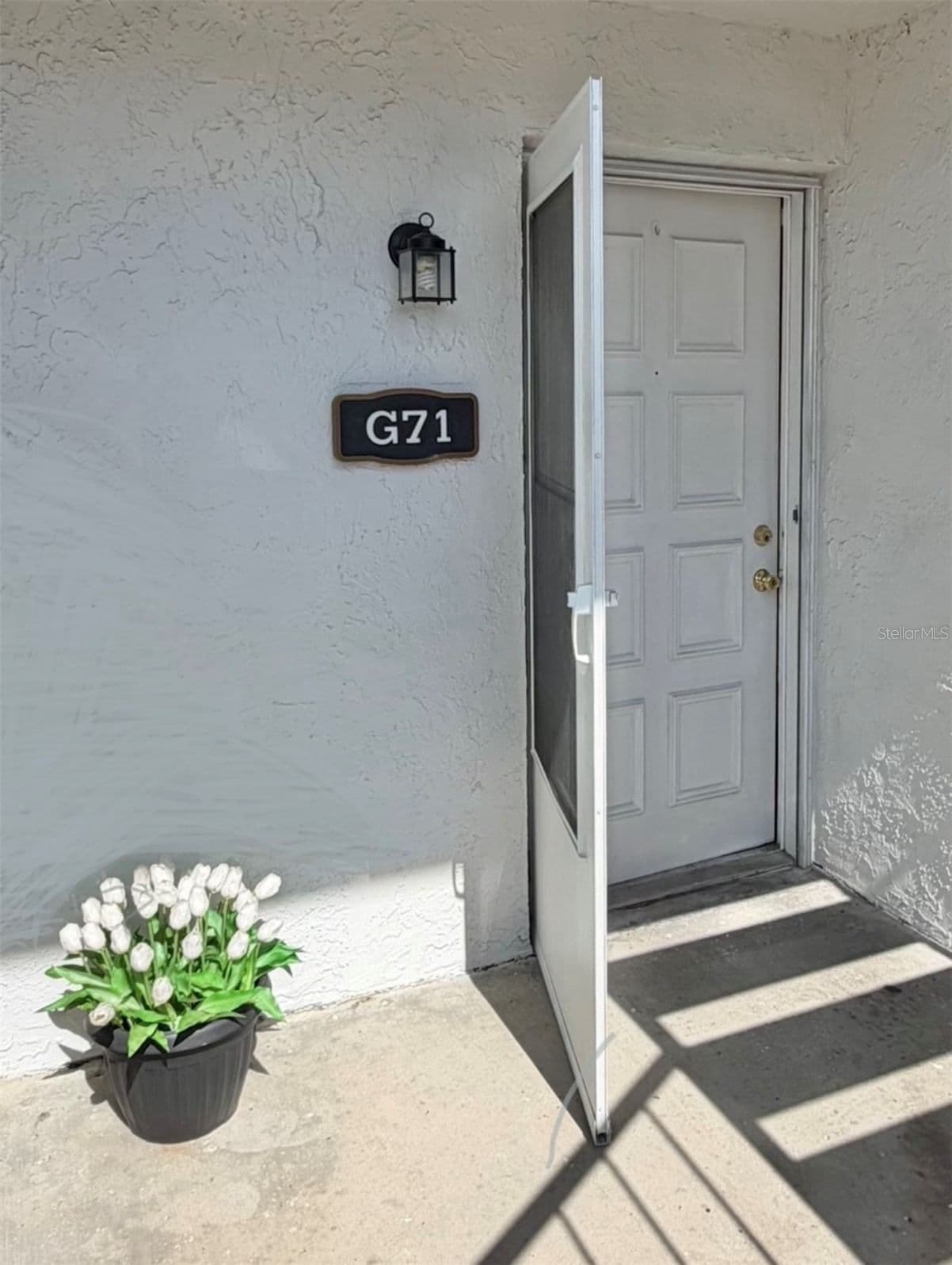 3815 OAK