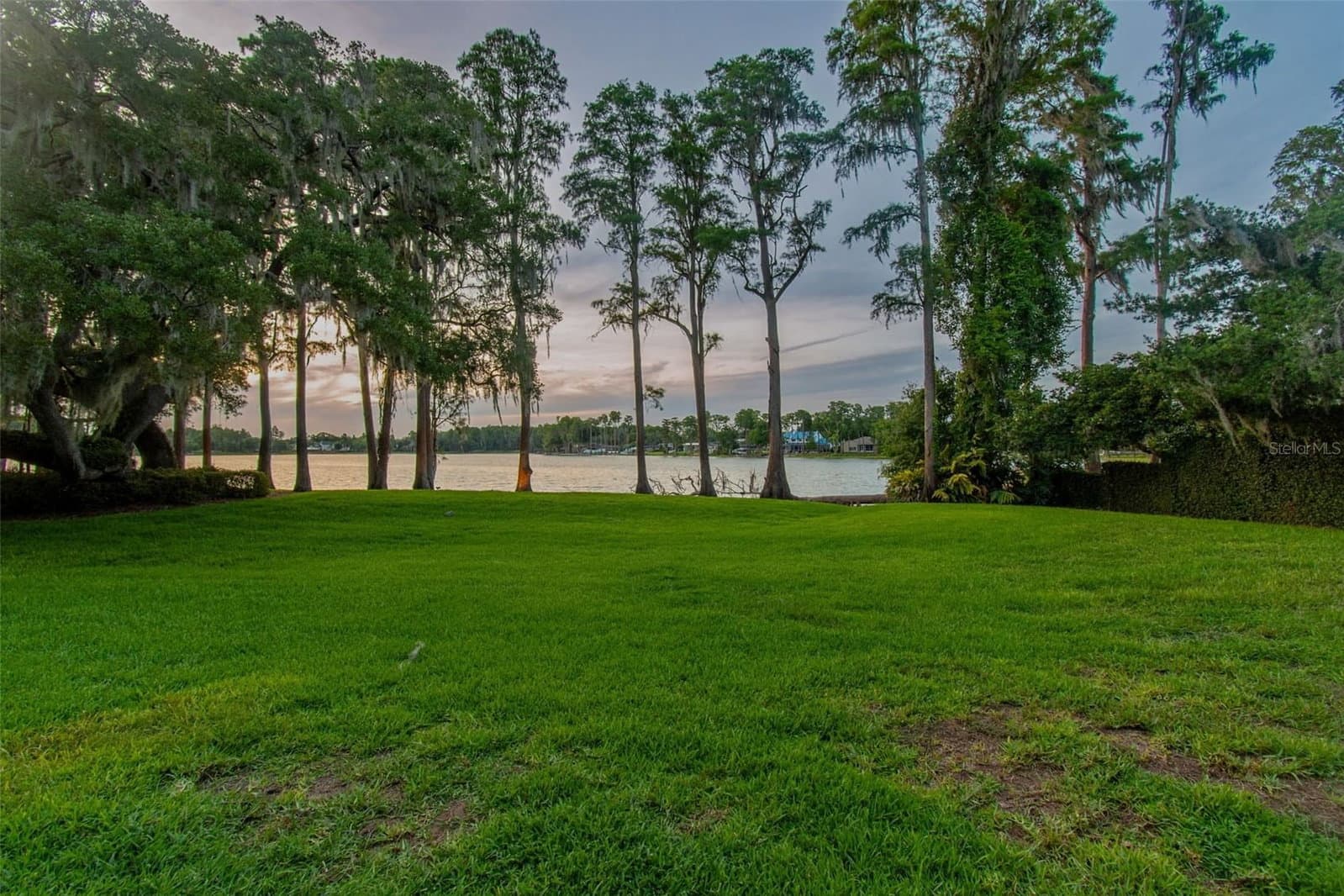 3133 LAKE ELLEN