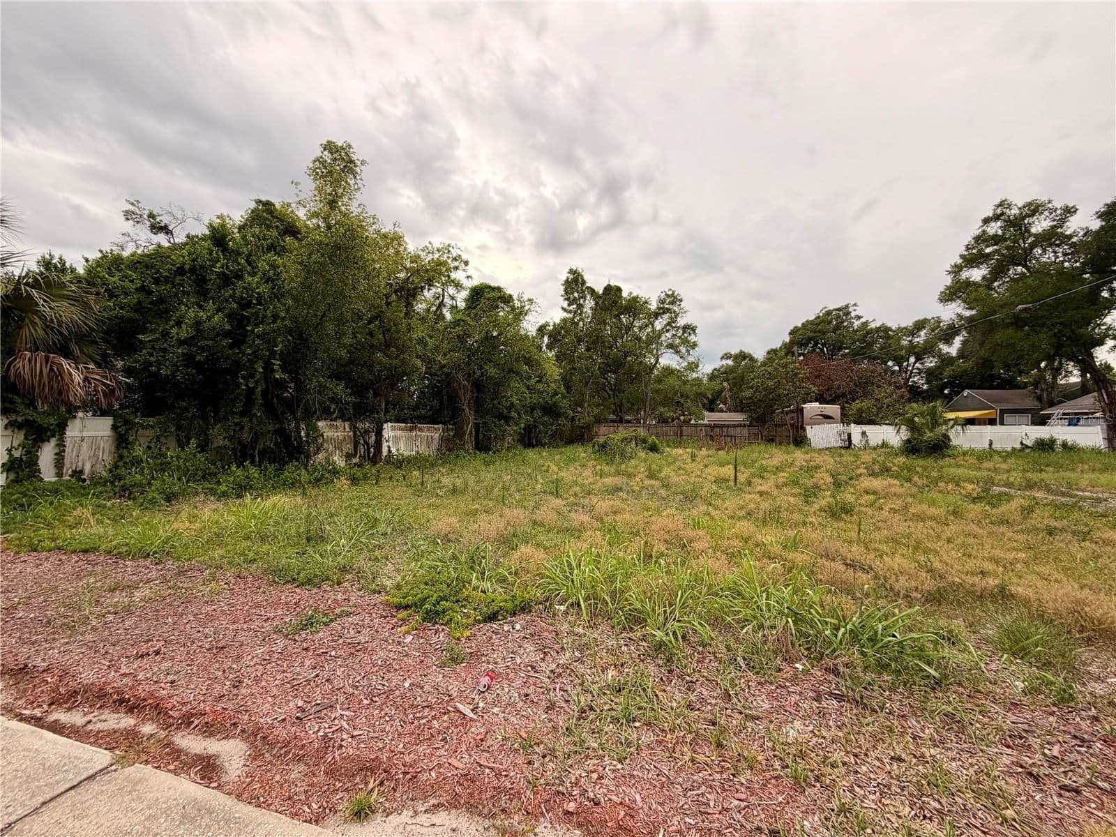 3206 TAMPA