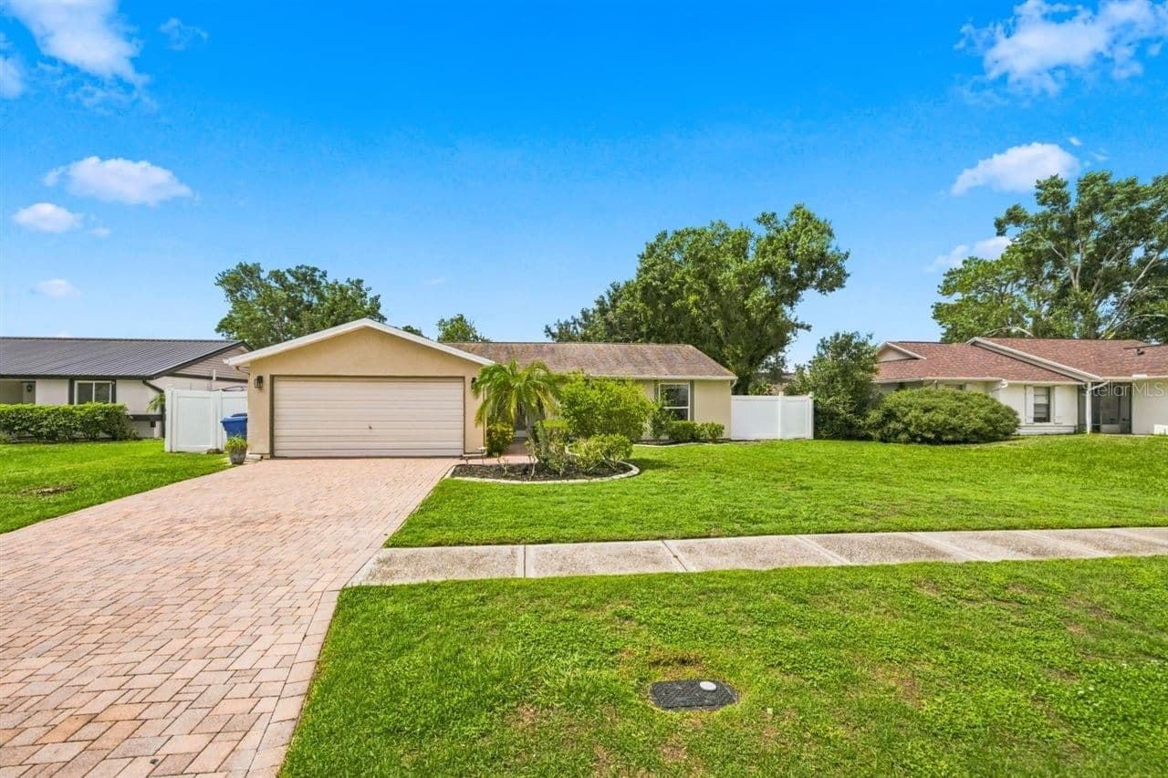 5309 BLACK PINE