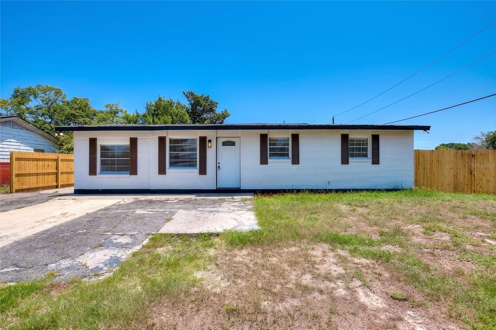 8204 ALLAMANDA