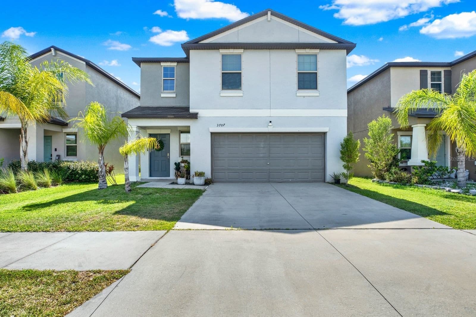 3707 DAISY BLOOM
