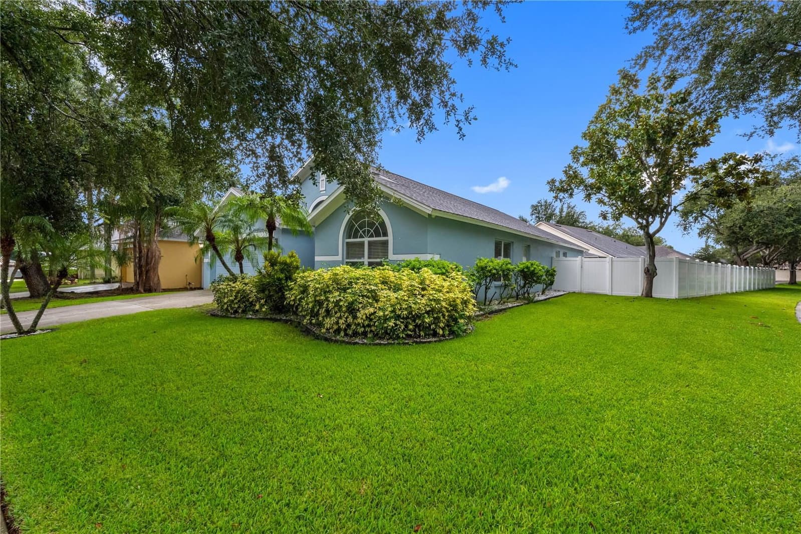 3306 PIN OAK