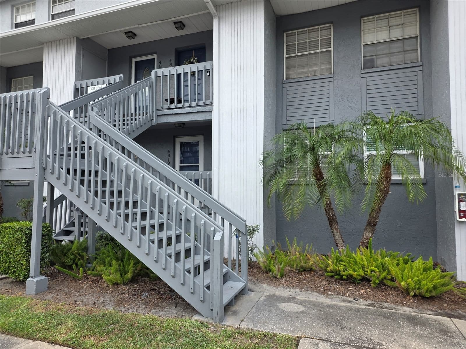 4823 MCELROY