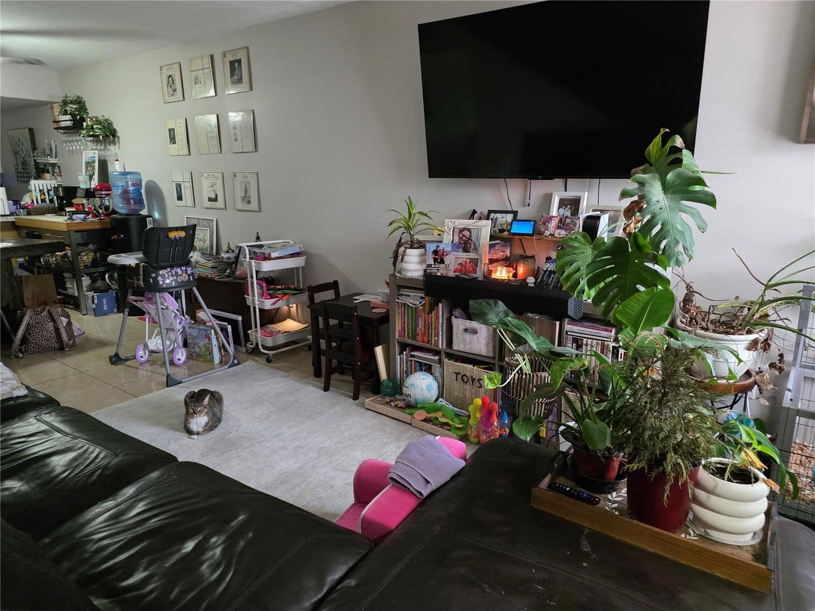 4823 MCELROY